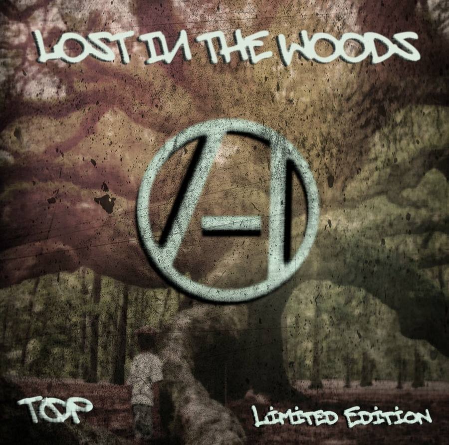 Lost in the Woods
